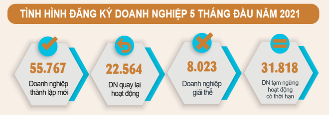 Mỗi tháng có gần 12.000 doanh nghiệp phải rút lui khỏi thị trường ảnh 2
