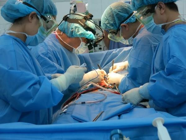 Ảnh minh họa. (Nguồn: Vietnam+) Giải pháp điều trị cho người bệnh thoái hóa khớp gối nặng ảnh 1