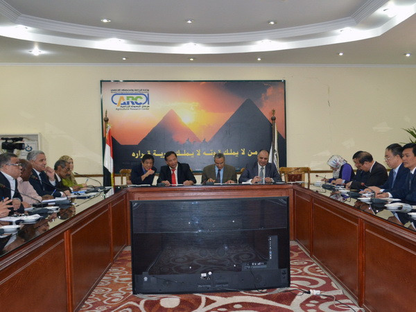 Trao đổi kinh nghiệm về nông nghiệp giữa Hải Dương và Ai Cập ảnh 1