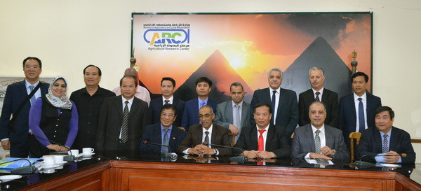 Trao đổi kinh nghiệm về nông nghiệp giữa Hải Dương và Ai Cập ảnh 2