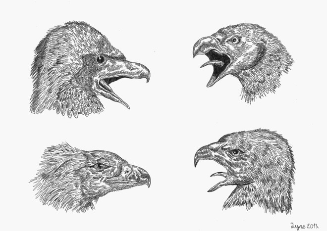 Họa sỹ thần đồng đam mê vẽ các loài động vật tuyệt chủng ảnh 5