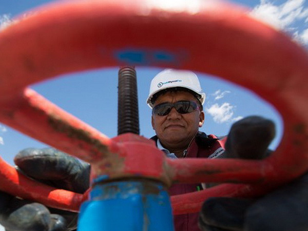 Nga và các nước đã đạt "thỏa thuận lịch sử” về dầu khí ảnh 1