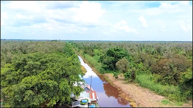 Cà Mau: Xử lý dứt điểm vụ lấn chiếm đất rừng trái phép ở huyện U Minh ảnh 1