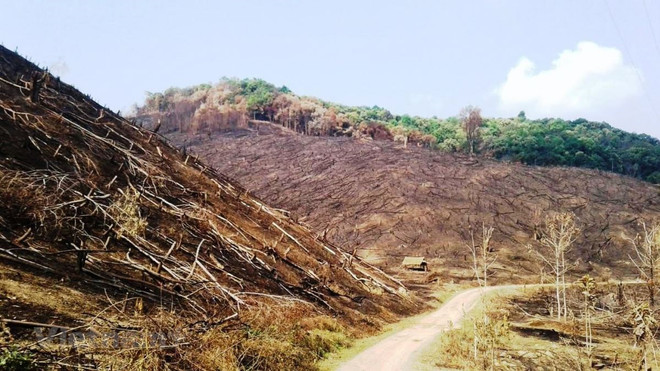 Giới chuyên gia hiến kế giải quyết tranh chấp đất đai vùng Tây Nguyên ảnh 1