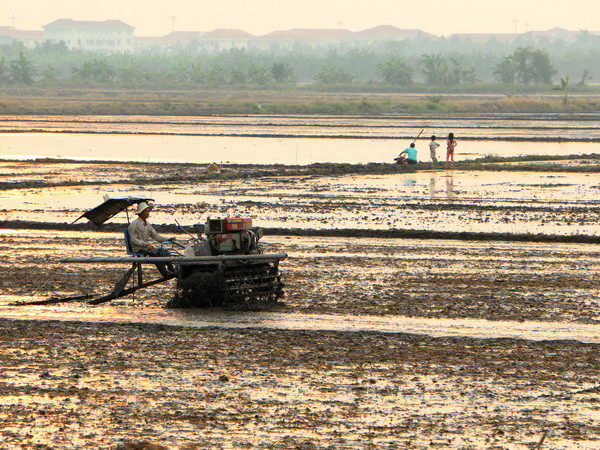 Hạn hán, xâm nhập mặn tác động gây suy dinh dưỡng ở trẻ em ảnh 1