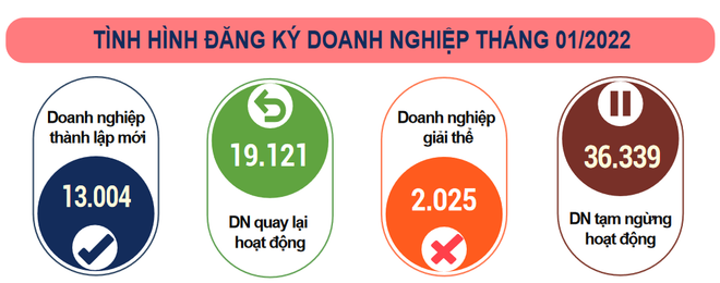 Số lượng doanh nghiệp gia nhập thị trường trong tháng Một khởi sắc ảnh 2