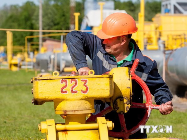 Belarus sẵn sàng cung cấp các sản phẩm dầu mỏ cho Ukraine ảnh 1