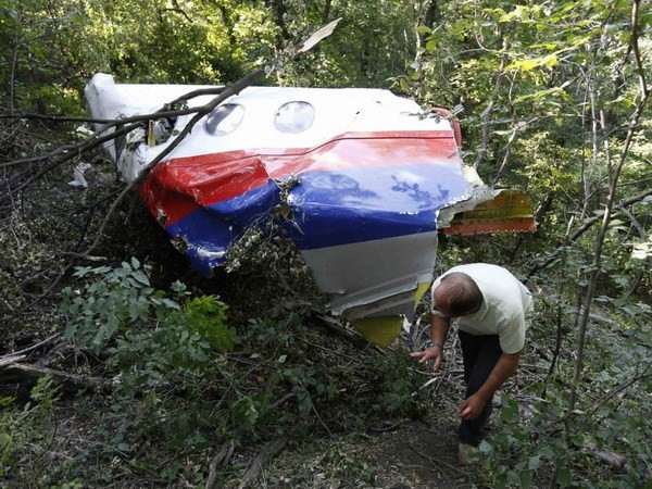 Nga chỉ trích báo Indonesia đưa tin thiếu khách quan vụ máy bay MH17 ảnh 1