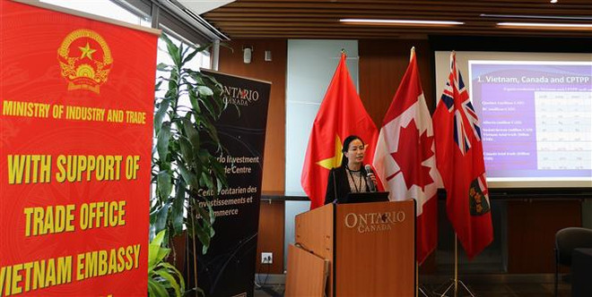 Việt Nam-Canada: Phát huy tối đa các cơ hội hợp tác thương mại-đầu tư ảnh 1