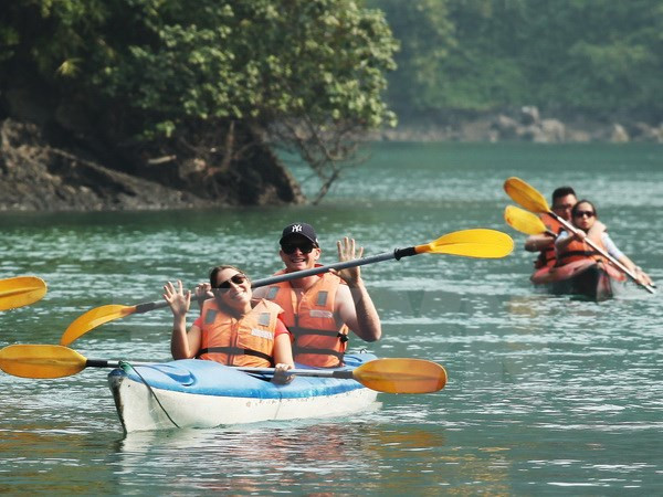 33% khách quốc tế quay lại Việt Nam du lịch lần thứ 2 trở lên ảnh 1