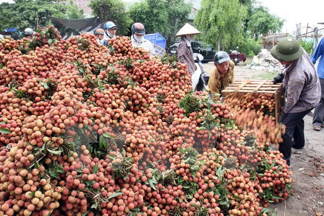 Những sự kiện trong nước nổi bật trong tuần từ ngày 11-17/5 ảnh 1