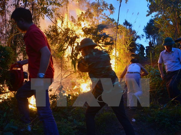 Những sự kiện trong nước nổi bật trong tuần từ ngày 11-17/5 ảnh 10