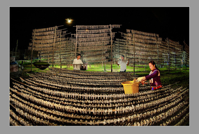 Công bố quy hoạch vùng Đồng bằng sông Cửu Long đến năm 2030 ảnh 3