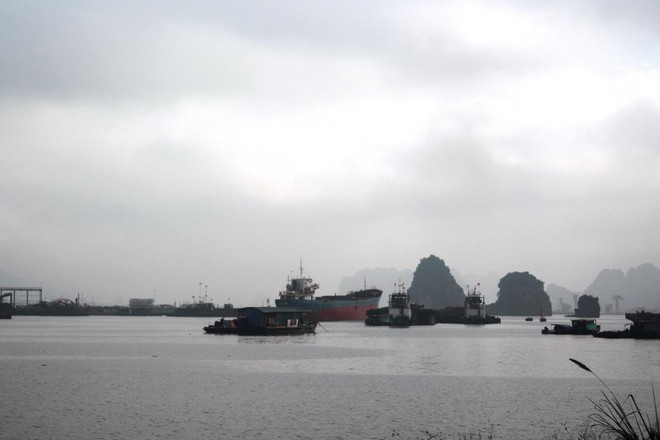 Bài 6: ‘Thiên đường than lậu’ vẫn vô tư hoạt động sau lệnh ‘khai tử’ ảnh 8