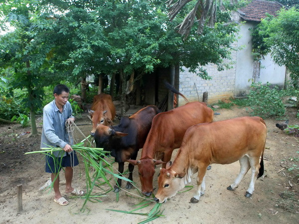 Thành lập Hội đồng thẩm định Chương trình giảm nghèo bền vững ảnh 1