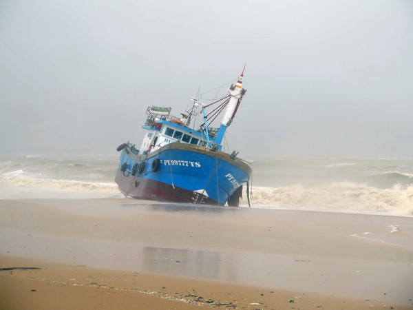 Khẩn trương tìm kiếm người mất tích trên biển Quy Nhơn ảnh 1