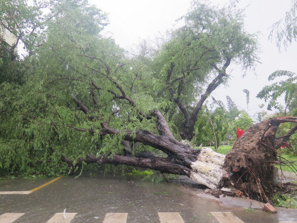 Lũ khẩn cấp trên các sông từ Quảng Ngãi đến Khánh Hòa ảnh 1