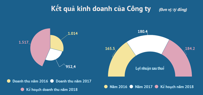 Công ty con của Tập đoàn EVN đưa 250 triệu cổ phiếu lên sàn UpCoM ảnh 2