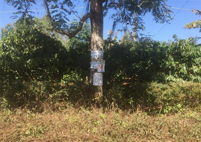 Những bất cập, hạn chế trong quản lý, sử dụng đất tại Đắk Lắk ảnh 1