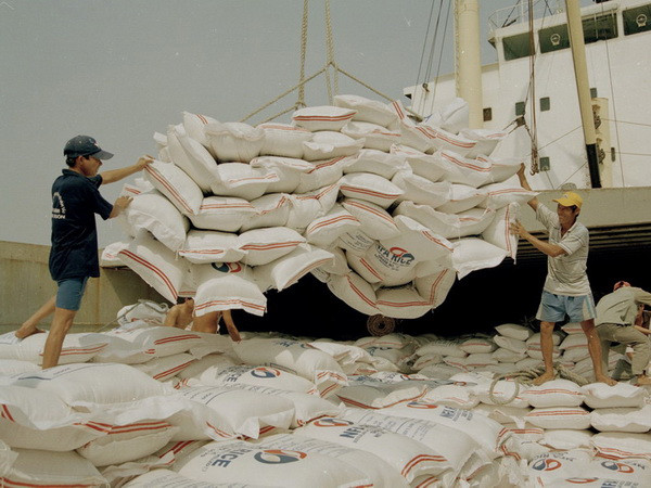 Tìm hướng đi mới để nâng giá trị hạt gạo Việt Nam ảnh 1