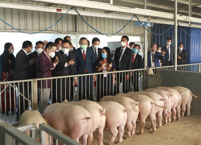 Đoàn đại biểu cấp cao Quốc hội Lào thăm, làm việc tại tỉnh Vĩnh Phúc ảnh 2