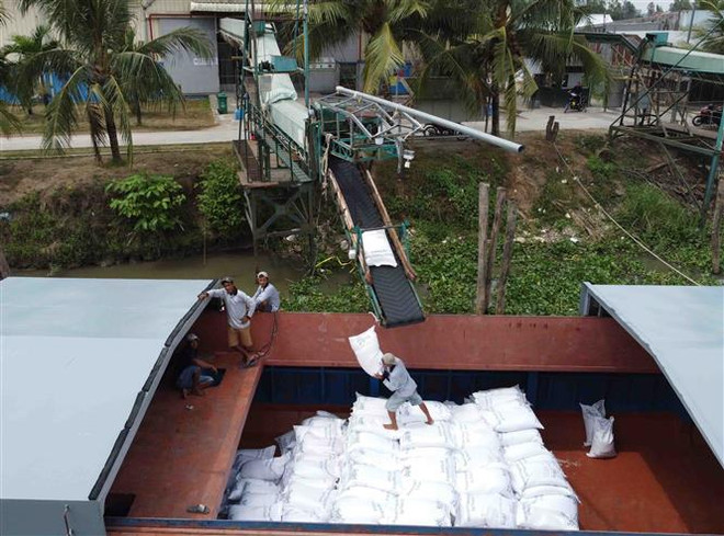Vận chuyển gạo tại một nhà máy của Tập đoàn Lộc Trời. (Ảnh: Vũ Sinh/TTXVN) Giá gạo Việt Nam có thể tăng khi vụ thu hoạch Đông Xuân kết thúc ảnh 1