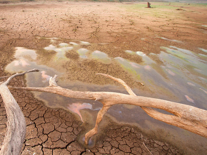 Khối Tây Phi dự chi 294 tỷ USD chống biến đổi khí hậu ảnh 1