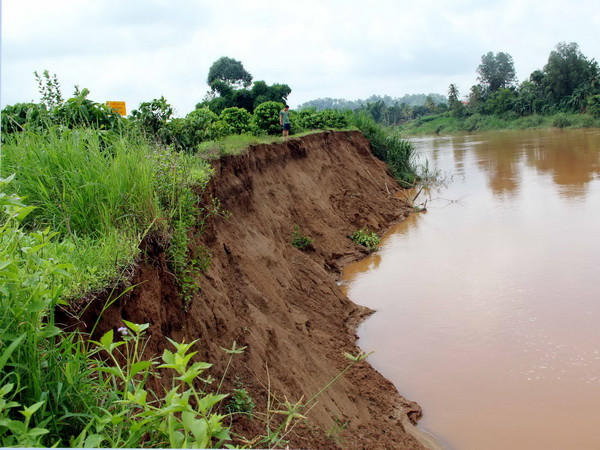 TP.HCM kỷ luật nhiều cán bộ huyện Hóc Môn vi phạm quản lý đất đai ảnh 1