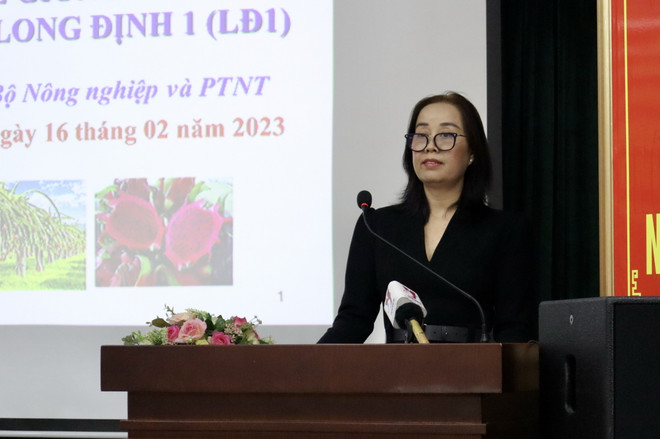 Tìm giải pháp hài hòa lợi ích từ giống thanh long Long Định 1 ảnh 2