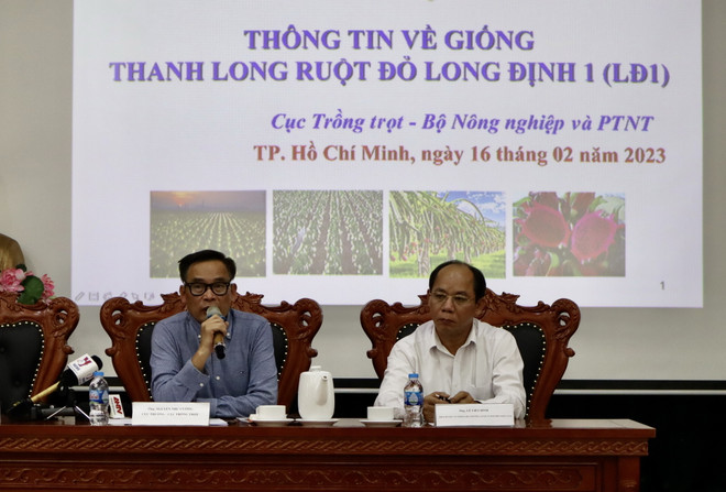 Tìm giải pháp hài hòa lợi ích từ giống thanh long Long Định 1 ảnh 1