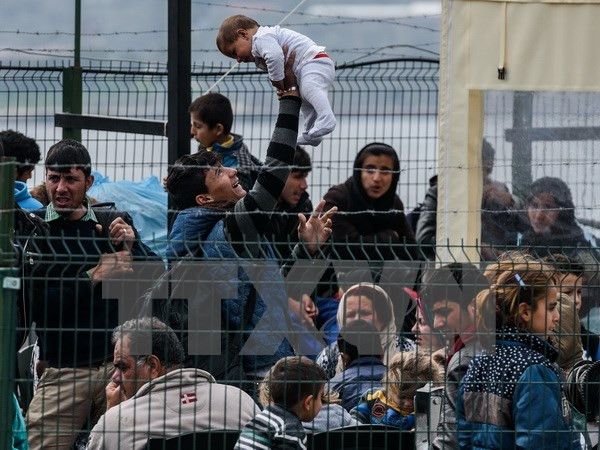 Thổ Nhĩ Kỳ cấp quốc tịch cho người di cư Syria và Iraq ảnh 1