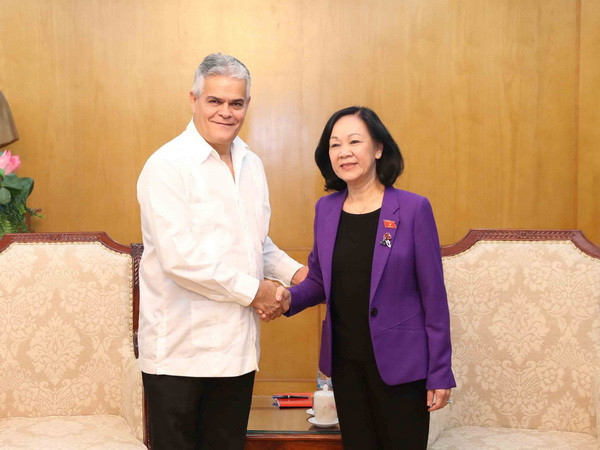 Trưởng ban Dân vận TW tiếp đoàn Ủy ban Bảo vệ cách mạng Cuba ảnh 1