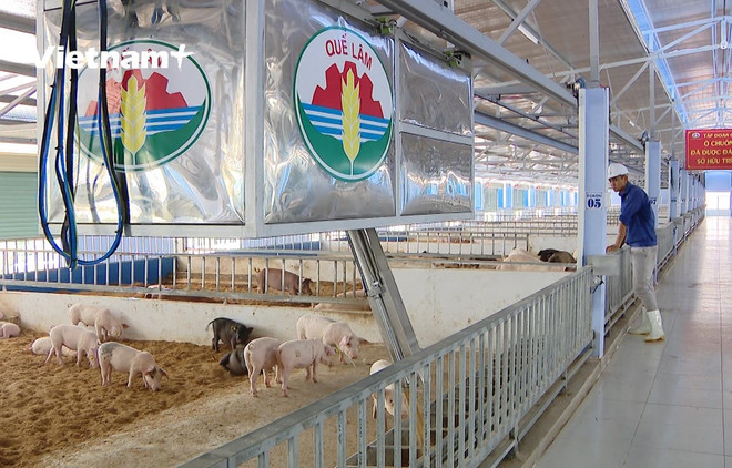 Chính sách hỗ trợ nông nghiệp Hà Nội phát triển kinh tế tuần hoàn ảnh 1