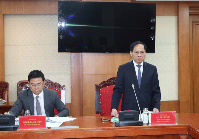 Thực hiện tốt kiểm tra Đảng trong cơ quan đại diện VN ở nước ngoài ảnh 2