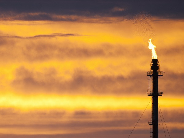 Giá dầu phục hồi nhờ đồng ruble ổn định và dự trữ dầu của Mỹ giảm ảnh 1