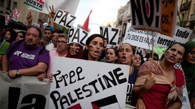 Nghị viện châu Âu ủng hộ công nhận Nhà nước Palestine ảnh 1