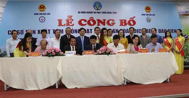 Sự kiện trong nước 26/11-2/12: Tuyên án vụ đánh bạc nghìn tỷ ảnh 4