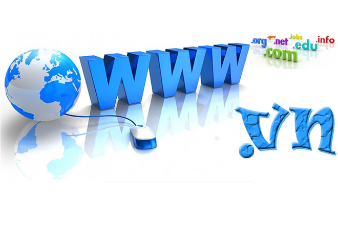 Việt Nam dẫn đầu ASEAN, thứ 7 châu Á về tên miền quốc gia ảnh 1