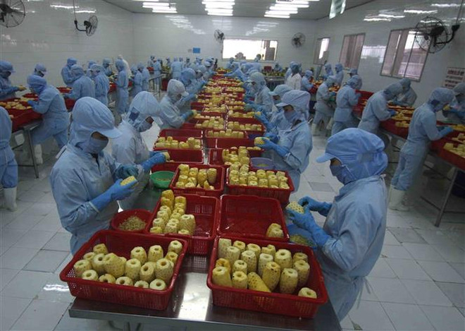 Nga tăng nhập khẩu rau quả chế biến từ Việt Nam ảnh 1