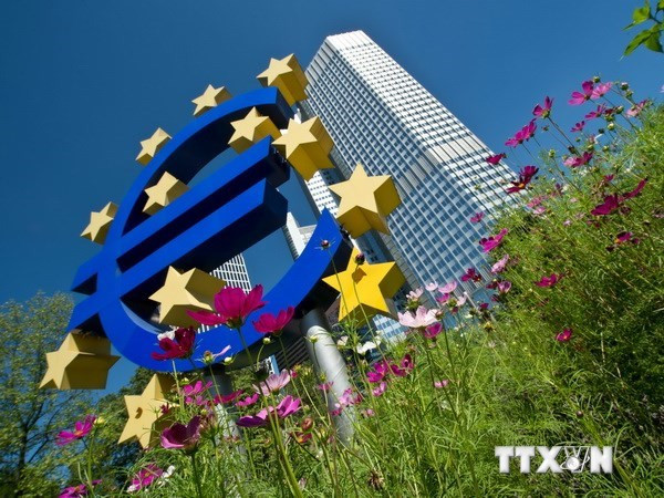 OECD cắt giảm dự báo tăng trưởng kinh tế của Eurozone ảnh 1