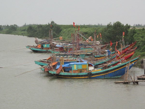 Các địa phương triển khai phương án phòng chống bão số 3 ảnh 1