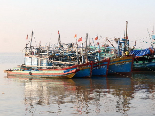 Các địa phương khẩn trương triển khai ứng phó với bão Tembin ảnh 1