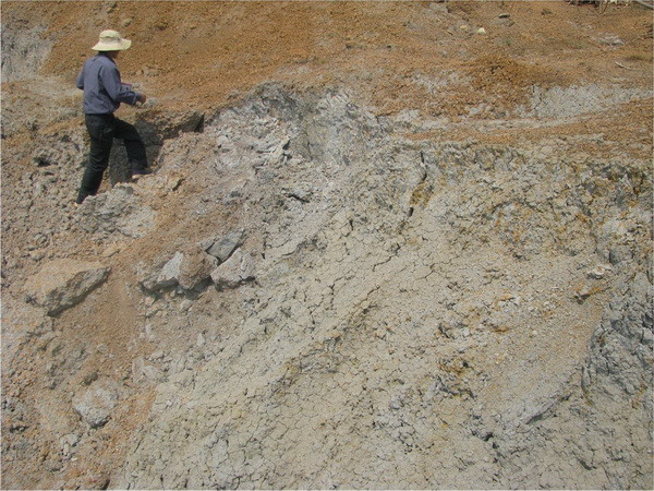 Bổ sung mỏ đất hiếm Bến Đền tại Lào Cai vào quy hoạch ảnh 1