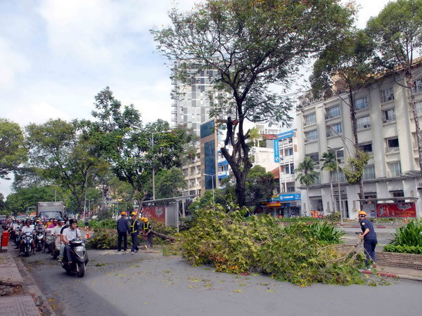 TP.HCM: Nhiều khó khăn trong xây dựng các tuyến đường sắt đô thị ảnh 1