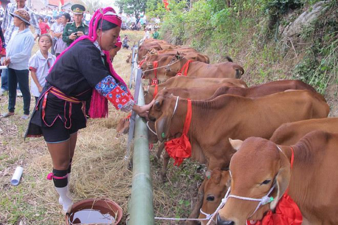 Xóa nghèo vùng Tây Bắc: Cần lắm những tấm lòng thiện nguyện ảnh 2