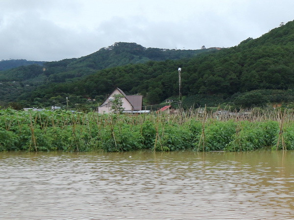Lâm Đồng: Thủy điện Đa Nhim xả lũ, thủ phủ rau bị “nhấn chìm” ảnh 1