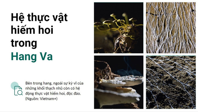 Những viên ngọc ẩn giấu của Việt Nam: 10 địa điểm chờ khám phá ảnh 3