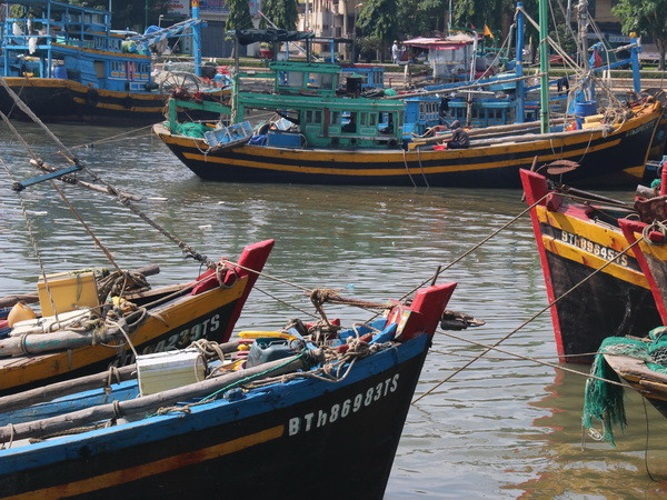 Bão số 14 cách bờ biển Khánh Hòa-Ninh Thuận-Bình Thuận 400km ảnh 1