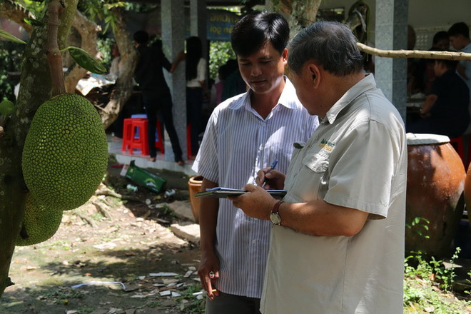 Nông dân vùng ngập lũ thu nhập hàng trăm triệu đồng nhờ mít Thái ảnh 1