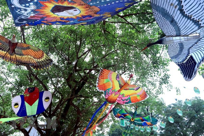Festival Nghề truyền thống Huế 2019 tôn vinh Tinh hoa nghề Việt ảnh 1